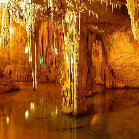 Agrimony Апартаменты Ольмедо