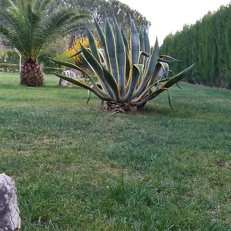 Agrimony Апартаменты Ольмедо