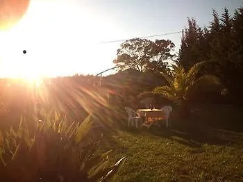 Agrimony * Ольмедо