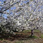 شقة Agrimony *
